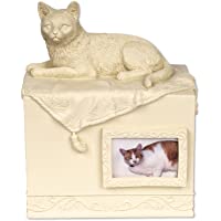 Angelstar Caja de Pet urna Gato Querida compañero- Metal- Multicolor